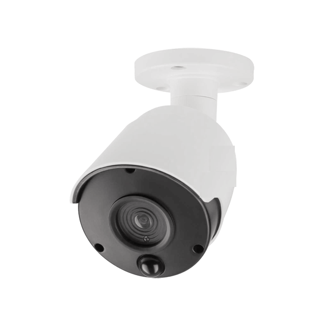 Nep camera met led lampjes pir en bullet model
