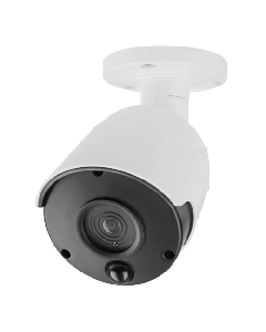 Nep camera met led lampjes pir en bullet model